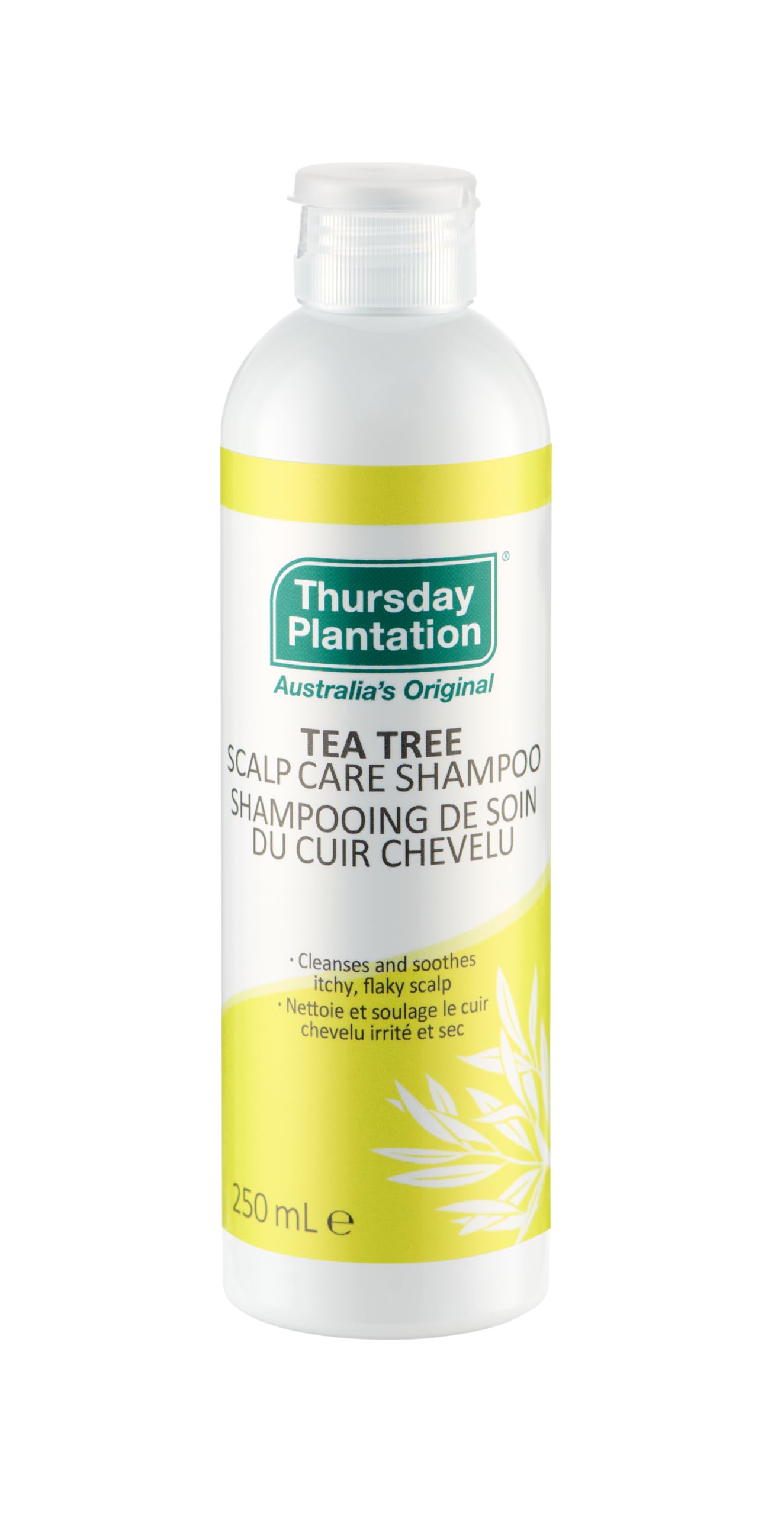 Thursday Plantation Tea Tree Scalp Care Shampoo  Tea Tree Oil + Sulfur for Daily Use, Soothes Flaky, Itchy Scalp, Dandruff for 