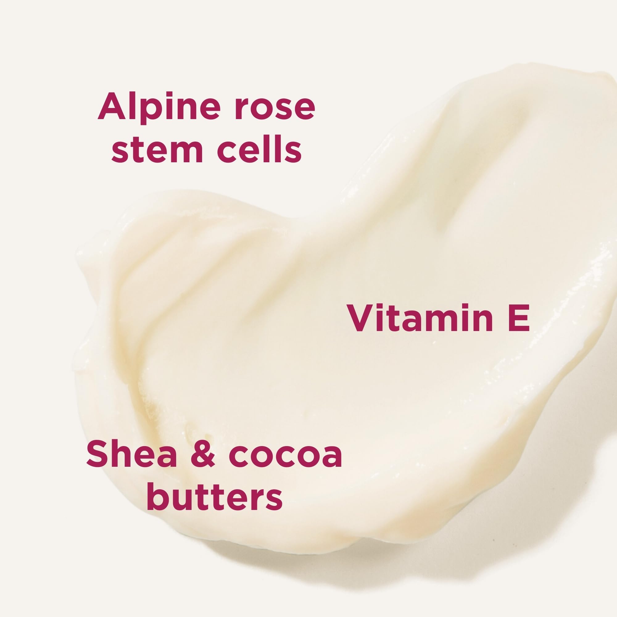 Andalou Naturals Body Btr, 1000 Roses, Velvet Soft, 8 Fl Oz