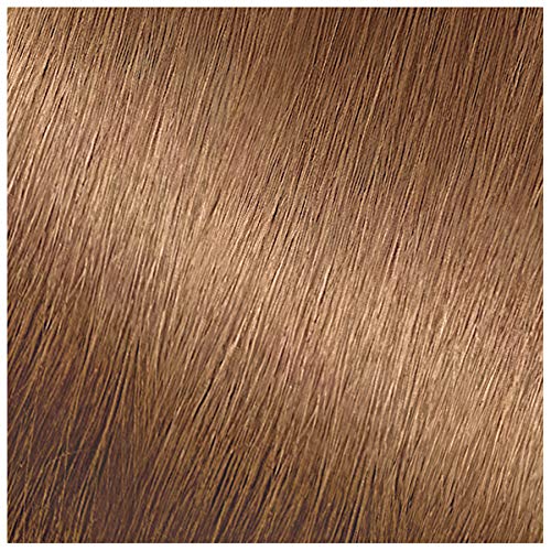 Garnier Hair Color Nutrisse Nourishing Creme, 72 Dark Beige Blonde (Sweet Latte) Permanent Hair Dye, 2 Count (Packaging May Vary