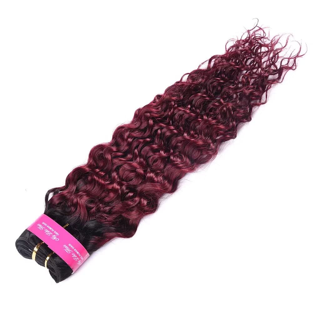 Feel Me Ombre Water Wave Hair 1B/99J Dark Root Burgundy Ombre Brazilian Hair Bundles 8A Unprocessed Brazilian Virgin Hair 100% O