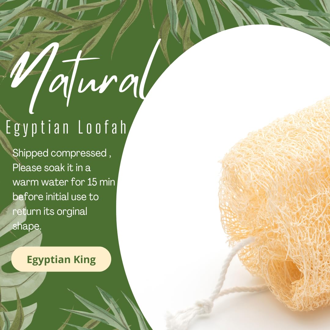 2 Natural Egyptian Loofahs Exfoliating Scrubber For Shower, Natural Loofah Sponge Body Scrubber, Deep Clean & Invigorate Your Sk