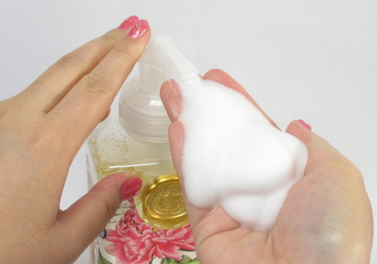 Michel Design Works Scented Foaming Hand Soap - Season's Greetings, Festive Fragrance
