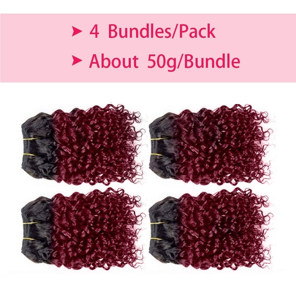 Curly Human Hair Bundles Kinky Curly Bundles Human Hair Bundles Curly Human Hair 4 Bundles 1B/99J Brazilian Virgin Human Hair 50