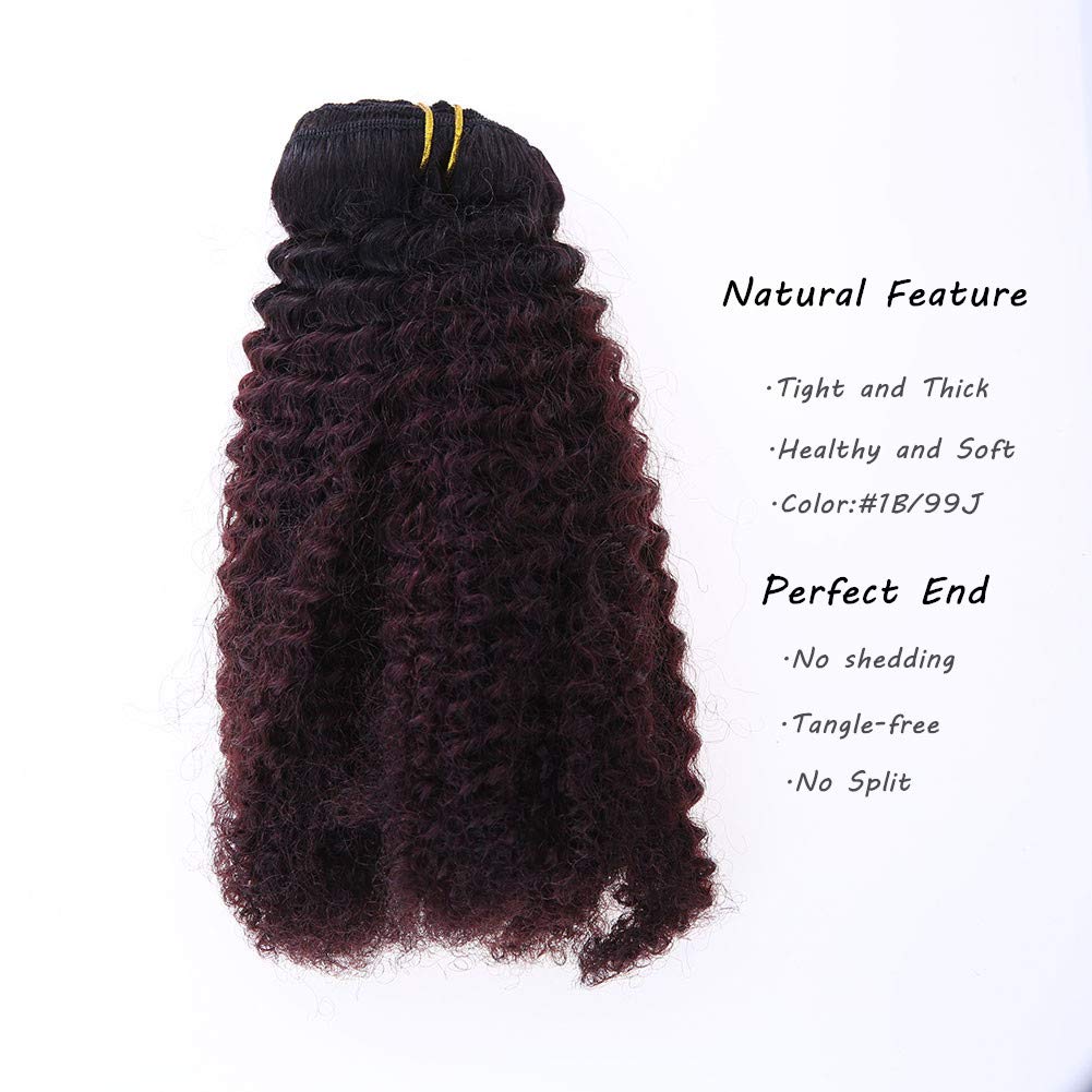 Caliee Afro Kinky Curly Clip In Human Hair Extensions Remy Natural Hair For Black Women Red Brown Blonde #1B/99J Kinky Clip Ins