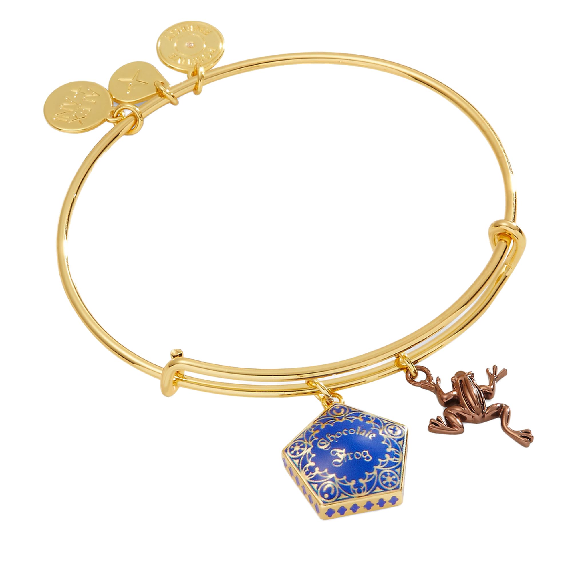Alex and Ani Harry Potter Chocolate Frog Two-Charm Bangle