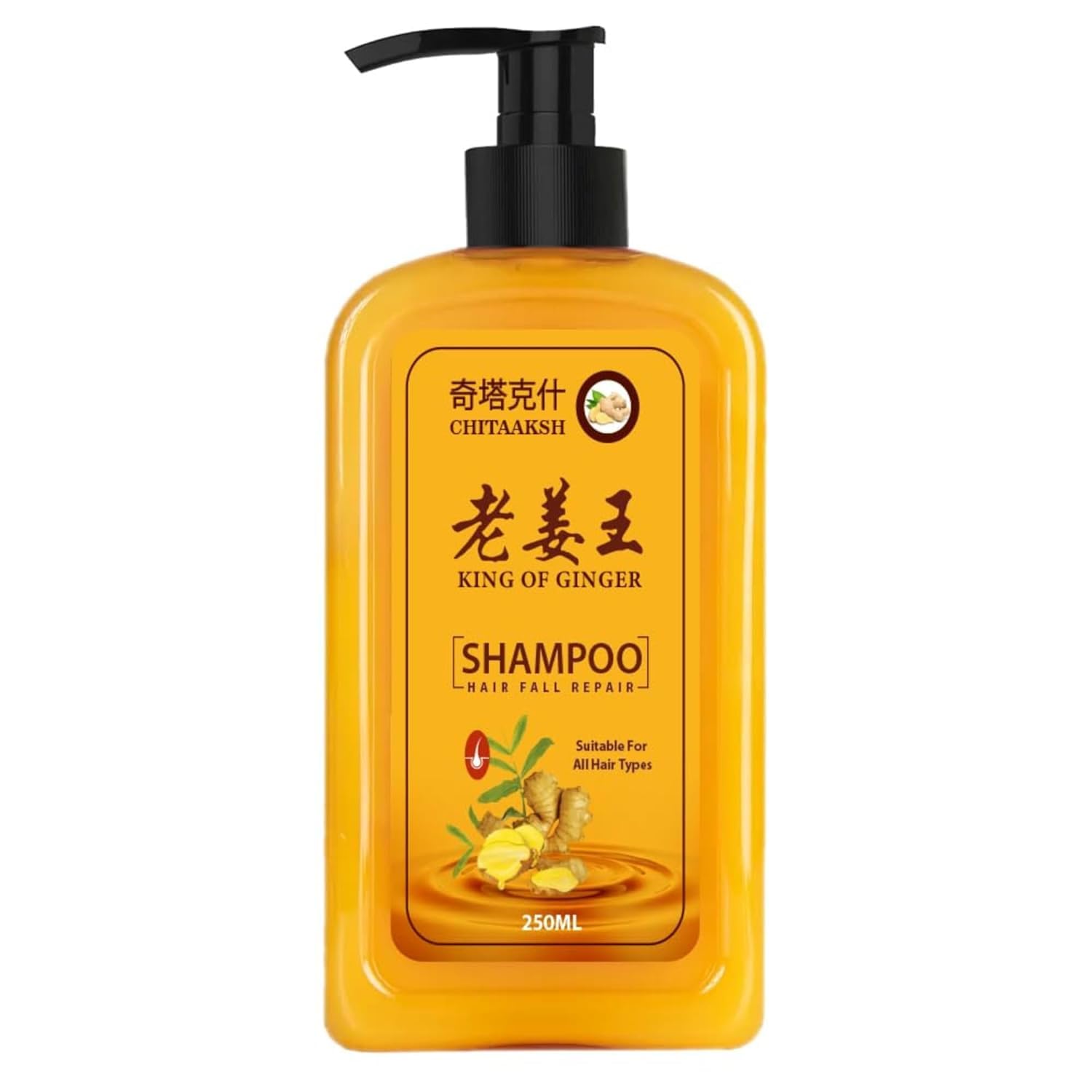 Chitaaksh Herbal Ginger Hair Shampoo  Organic Hair Dye & Instant Hair Growth Formula  100% Grey Coverage for Men & Women  Nat