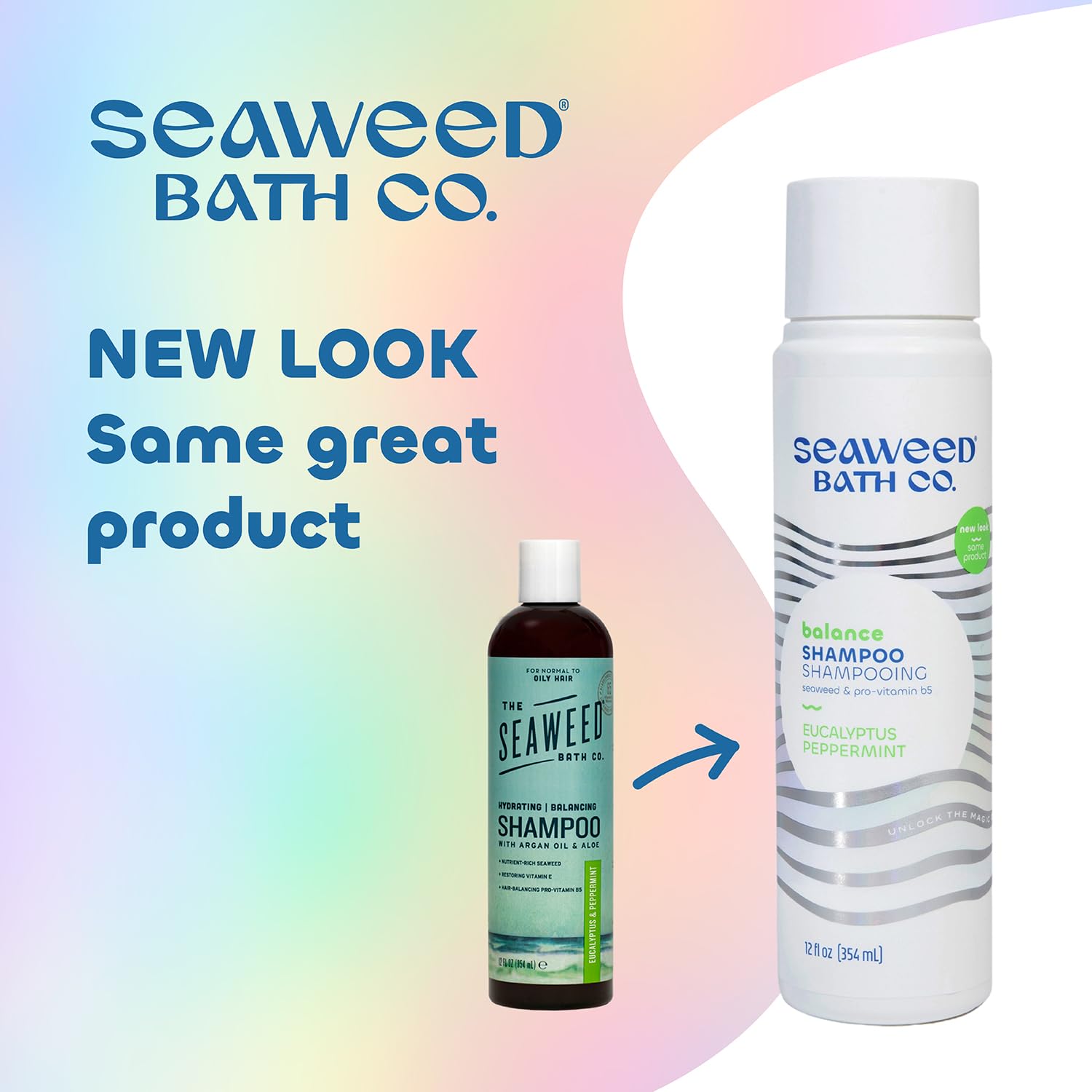 Seaweed Bath Co. Balance Shampoo, Eucalyptus Peppermint Scent, 12 Ounce, Sustainably Harvested Seaweed, Pro Vitamin B5, For Norm