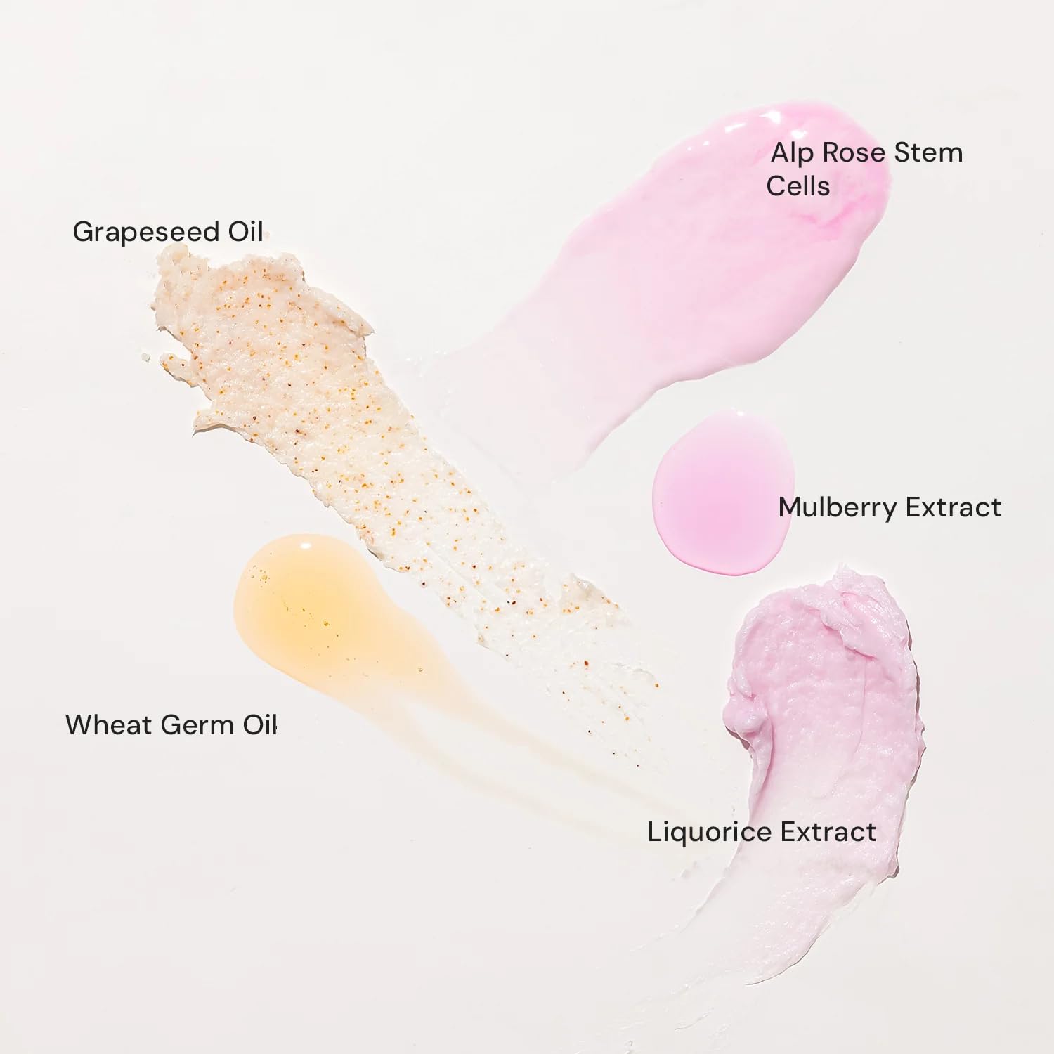 Raaga Professional Stemcell Fairness Facial Kit Infused With Alp Rose, Stem Cells, And Mulberry With Strawberry Extract | Skin C