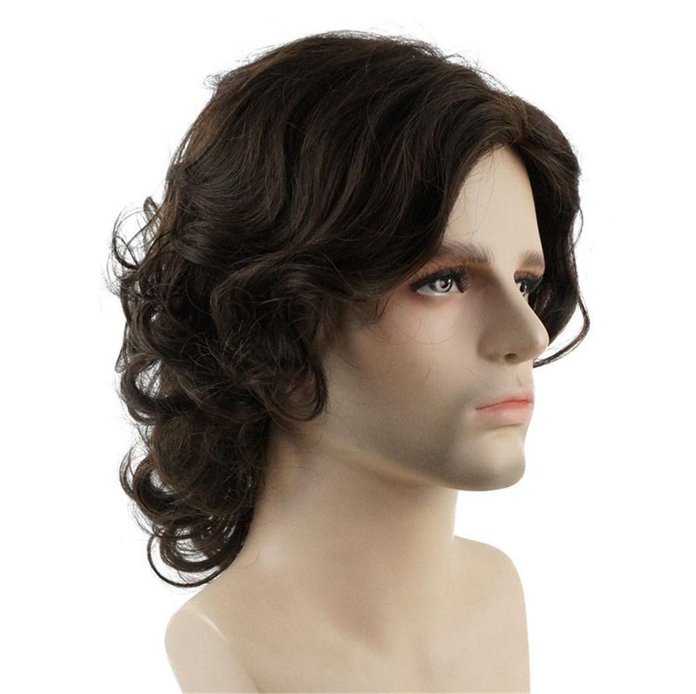 Lydell Long Curly Wavy Synthetic Men Wigs With Bangs For Men Brown