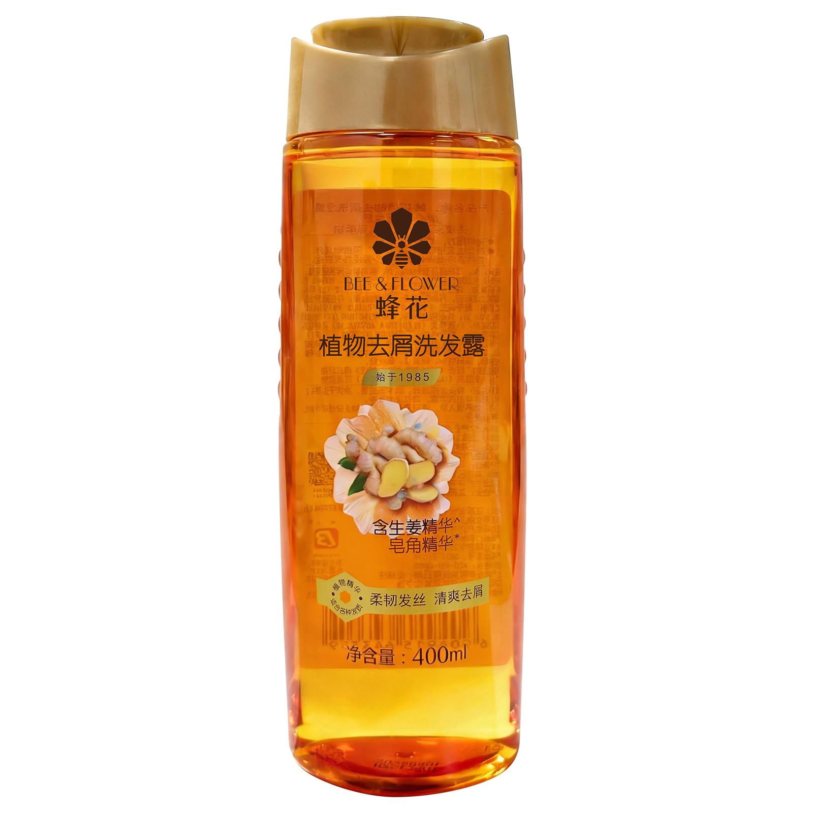 B FENG HUA Anti Dandruff Shampoo Control Oil & Flake Itchy Scalp Relief