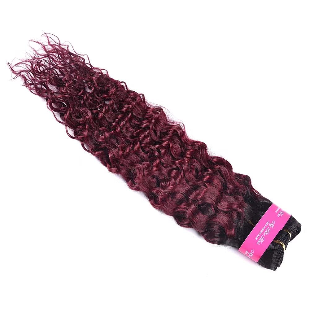 Feel Me Ombre Water Wave Hair 1B/99J Dark Root Burgundy Ombre Brazilian Hair Bundles 8A Unprocessed Brazilian Virgin Hair 100% O
