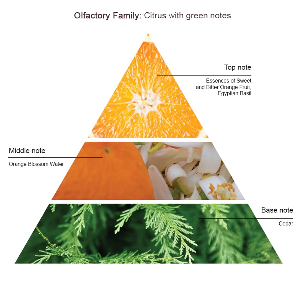 Cinq Mondes Eau De L'Atlas Fresh Aromatic Mist 3.4 Floz. - Orange Blossom Body Spray - Mist For Home, Linens And Pillows - Citru
