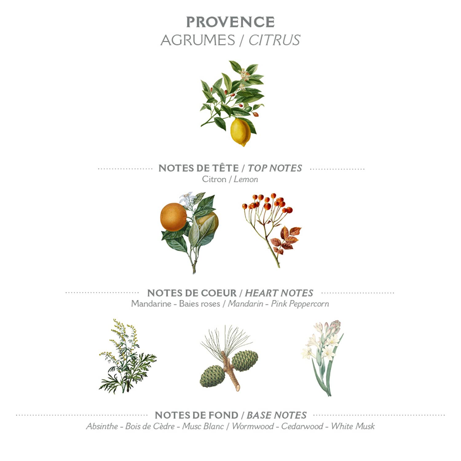 Panier des Sens - Hand Cream for Dry Cracked Hands and Skin - Provence Mini Hand Lotion, Moisturizer, Mask - With Shea Butter an