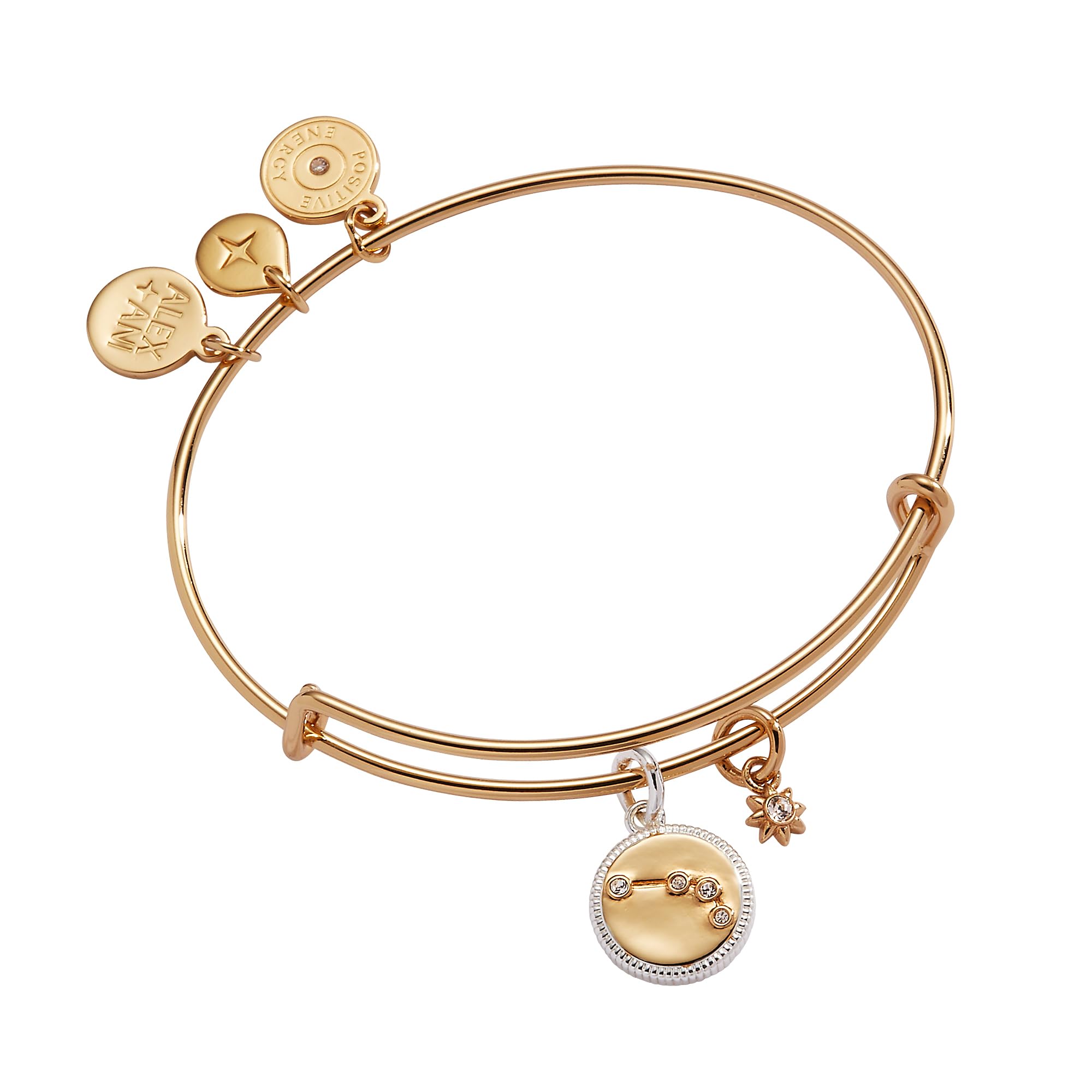 Alex and Ani Zodiac Bangle