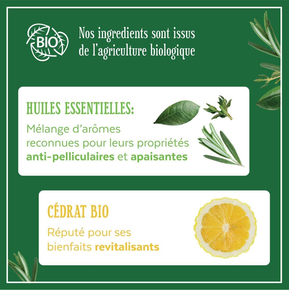 Le Petit Marseillais Shampooing Anti-Pelliculaire Infusion Huiles Essentielles Et C   drat Bio Anti-Dandruff Shampoo Organic Ess