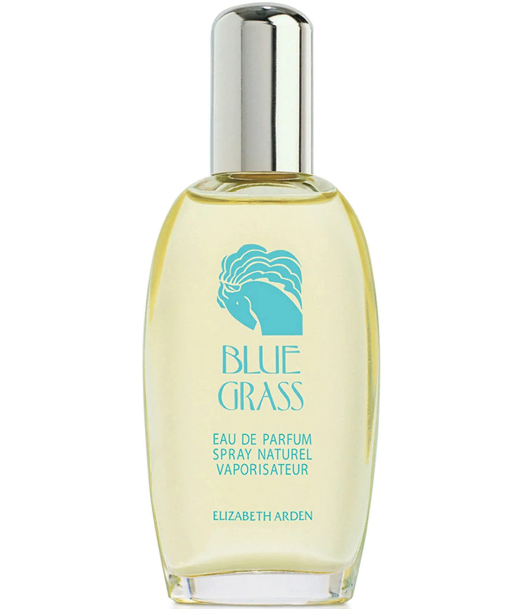 Blue Grass By Elizabeth Arden, 3.3 Oz Eau De Parfum Spray For Women