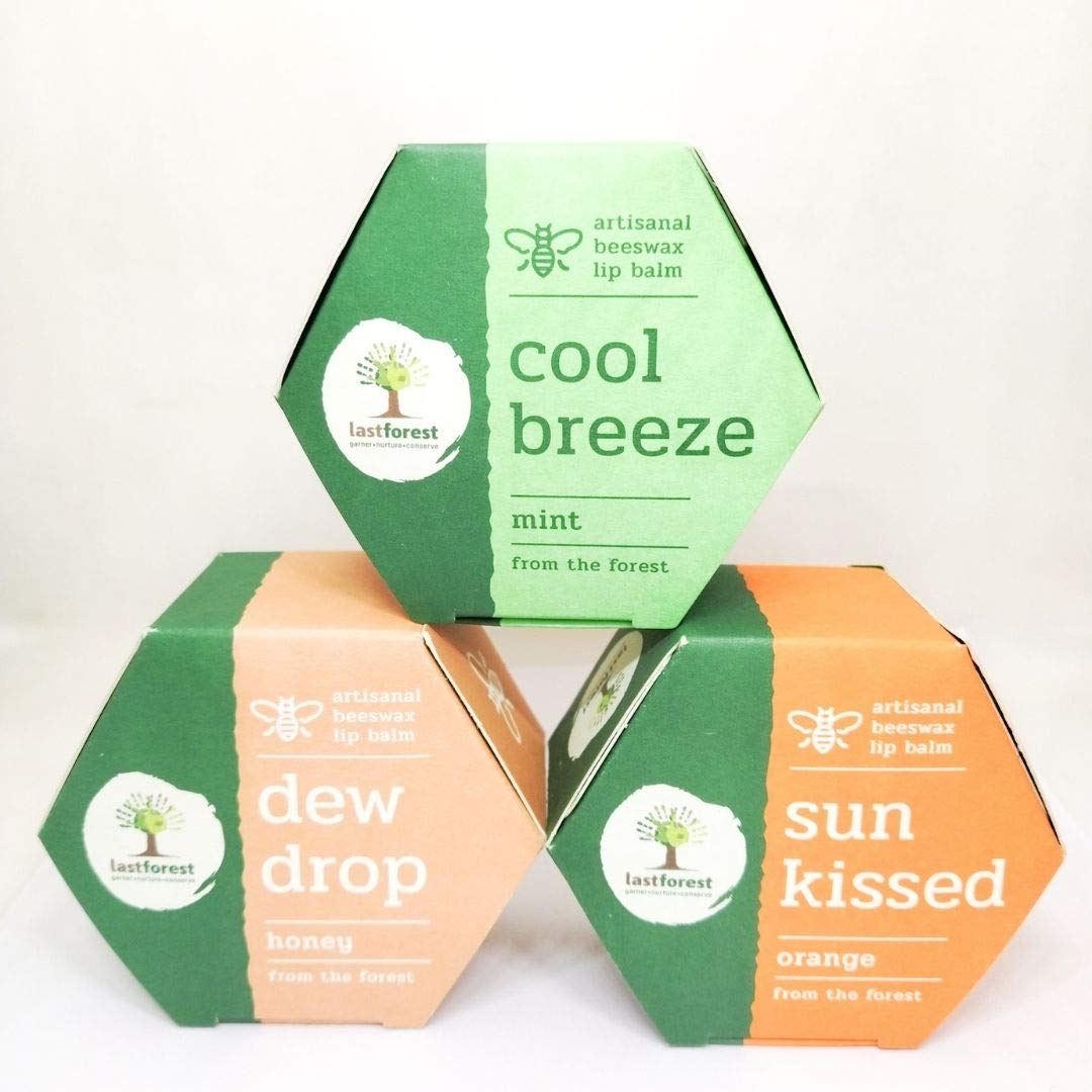 Last Forest Beeswax Lip Balm 5Gm (Pack Of 3) For Men & Women, NonSticky, 24 Hrs Lip Moisturizer For Dry And Chapped Lips, Nouri