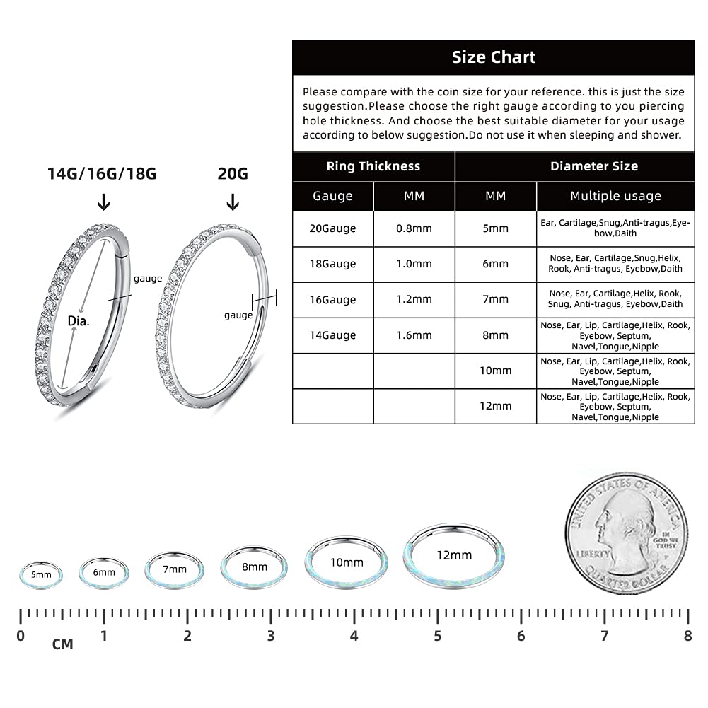 WBRWP 316L Stainless-Steel Flat-Piercing-Ring Hinged Nose-Rings-Hoop with White Opal 20G(0.8mm) Segment Clicker Lip Rings Daith