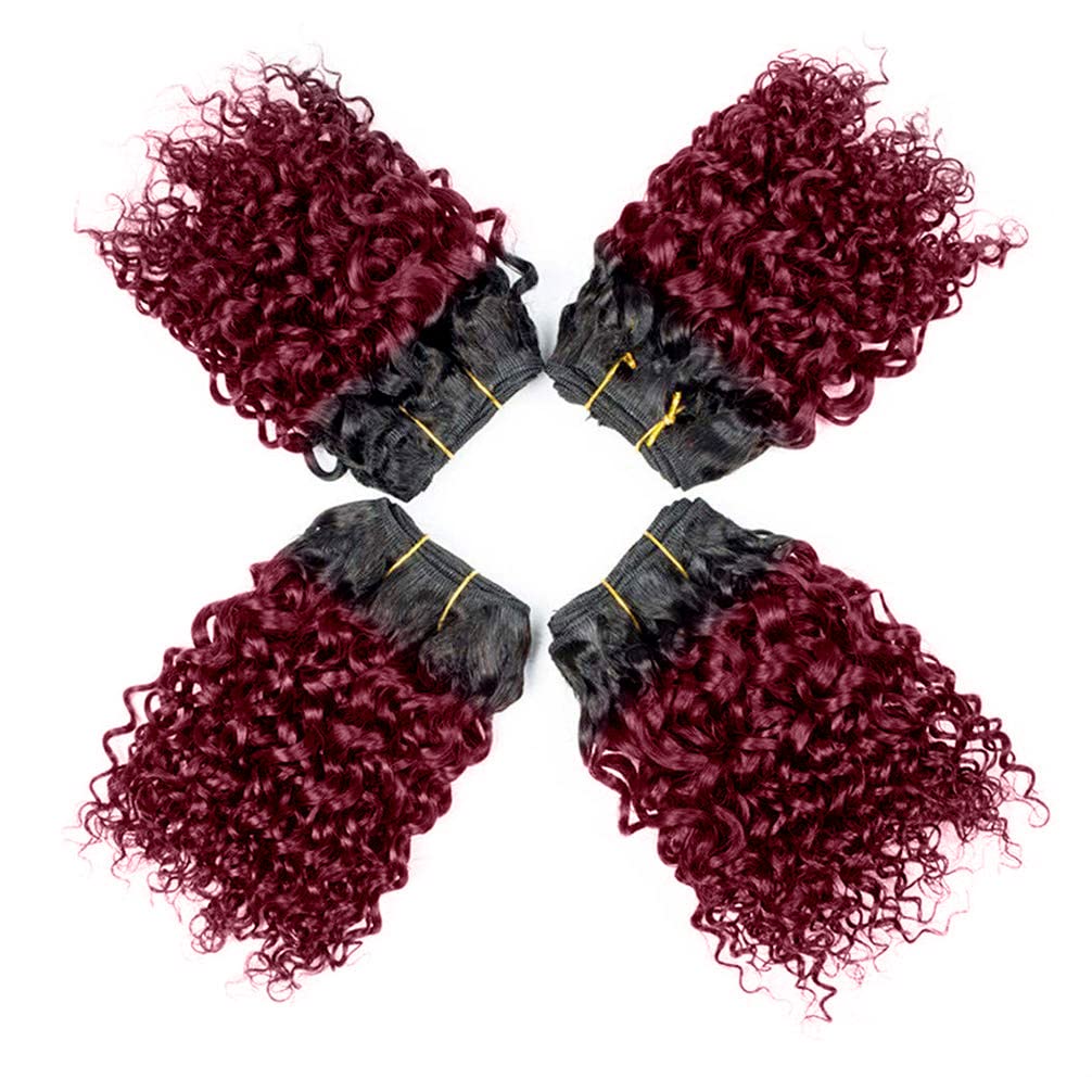 Curly Human Hair Bundles Kinky Curly Bundles Human Hair Bundles Curly Human Hair 4 Bundles 1B/99J Brazilian Virgin Human Hair 50