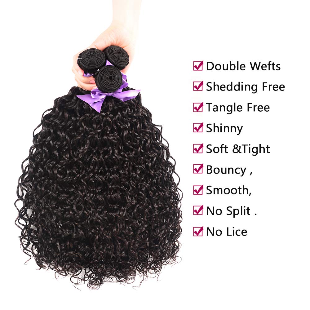 8A Brazilian Virgin Human Hair Water Wave Bundles With 4Inch X 4Inch Lace Closure 100% Human Hair (14 16 18+12 Closure, Free Par