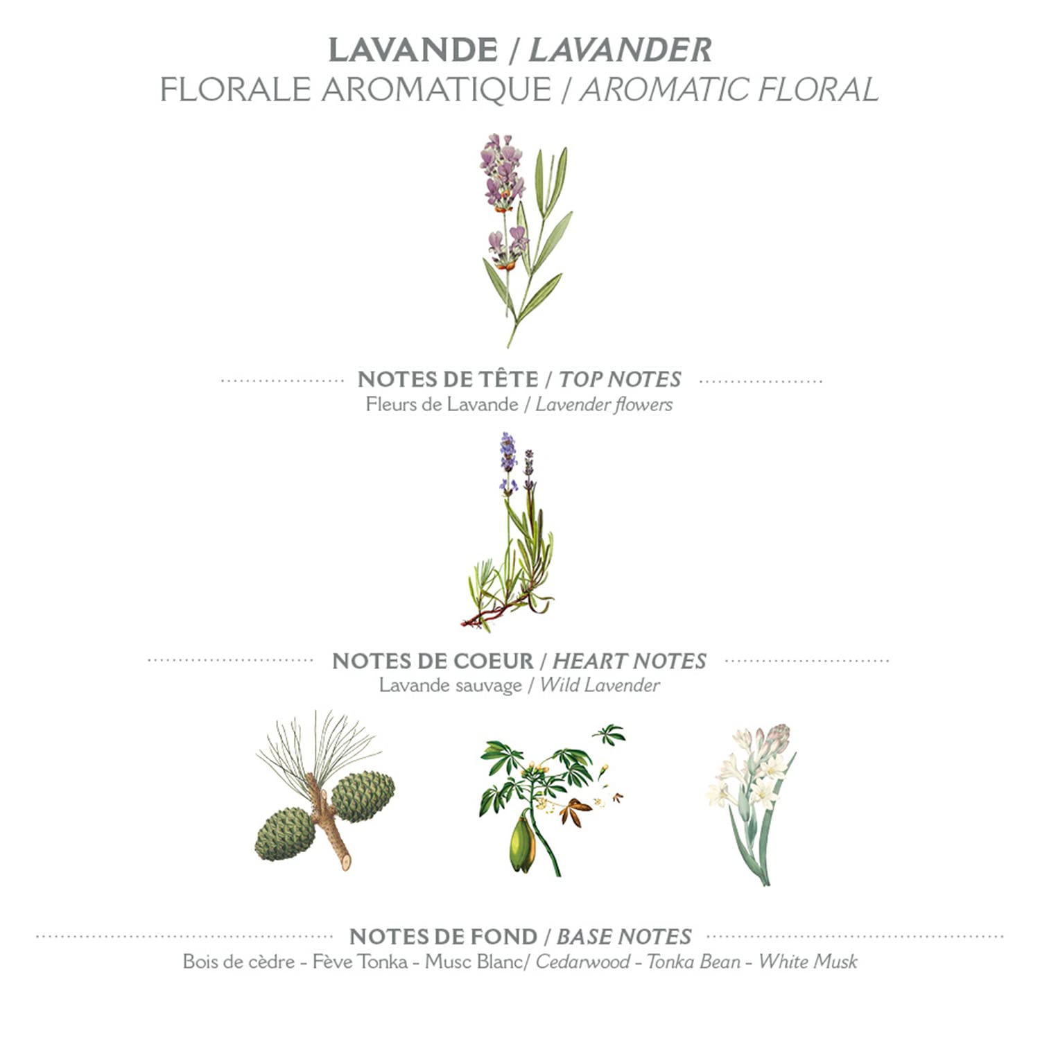 Panier Des Sens - Lavender Eau De Toilette - 2023 Best Fragrance    Allure Magazine - Light Perfume For Women - Natural, Floral