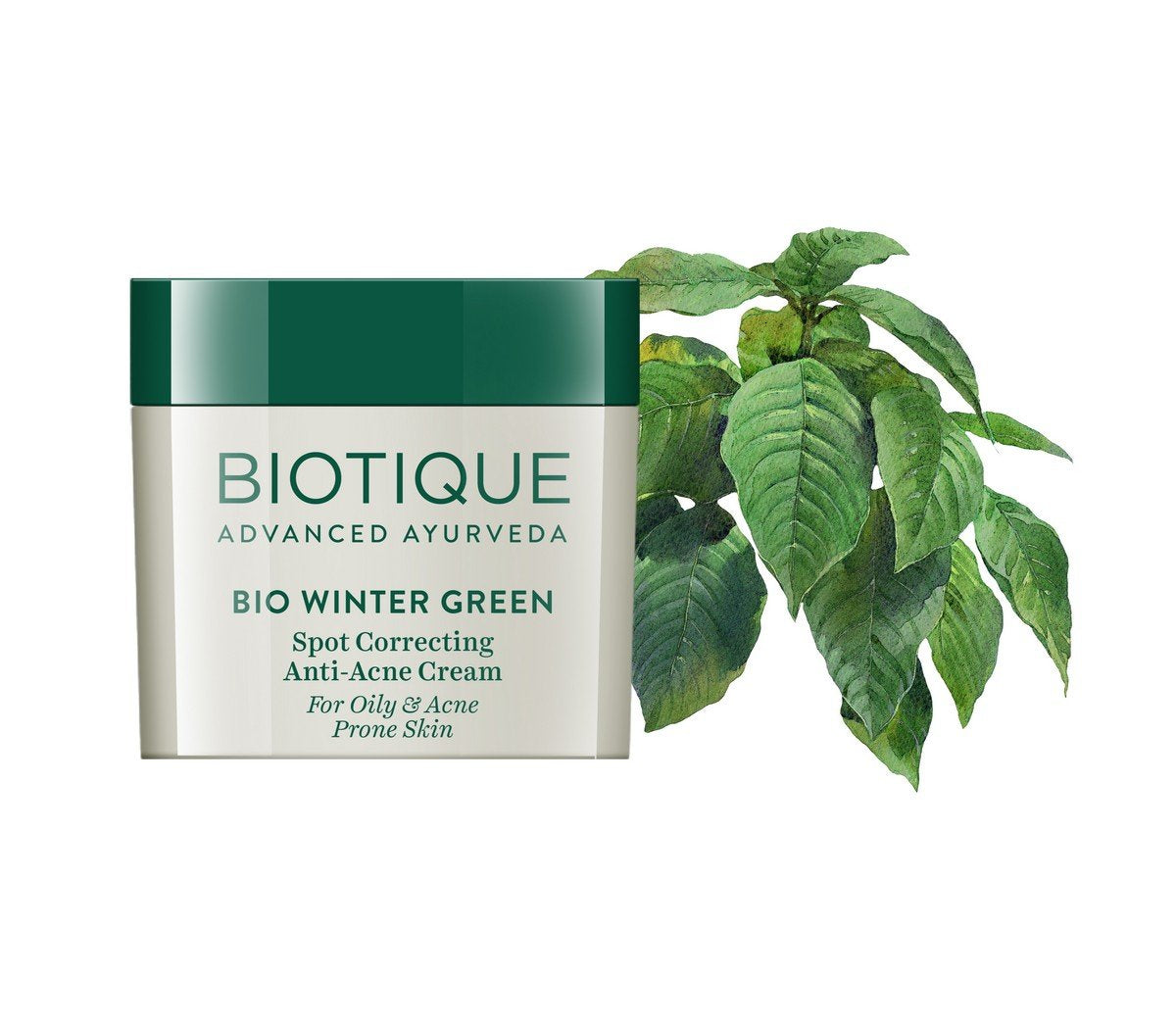 Biotique Bio Winter Green Spot correcting Anti-Acne Cream, 15 gm