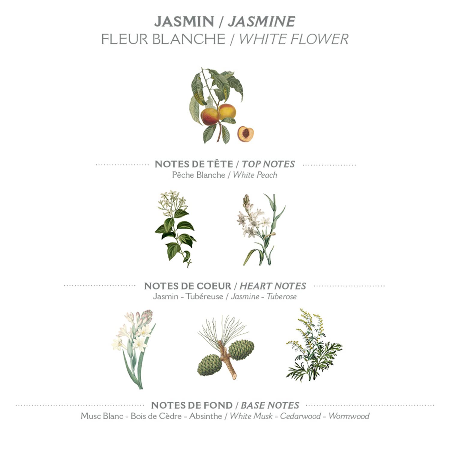 Panier Des Sens - Jasmine Eau De Toilette - Light Perfume For Women - Natural & Floral Fragrance - Hair & Body - Gift For Women