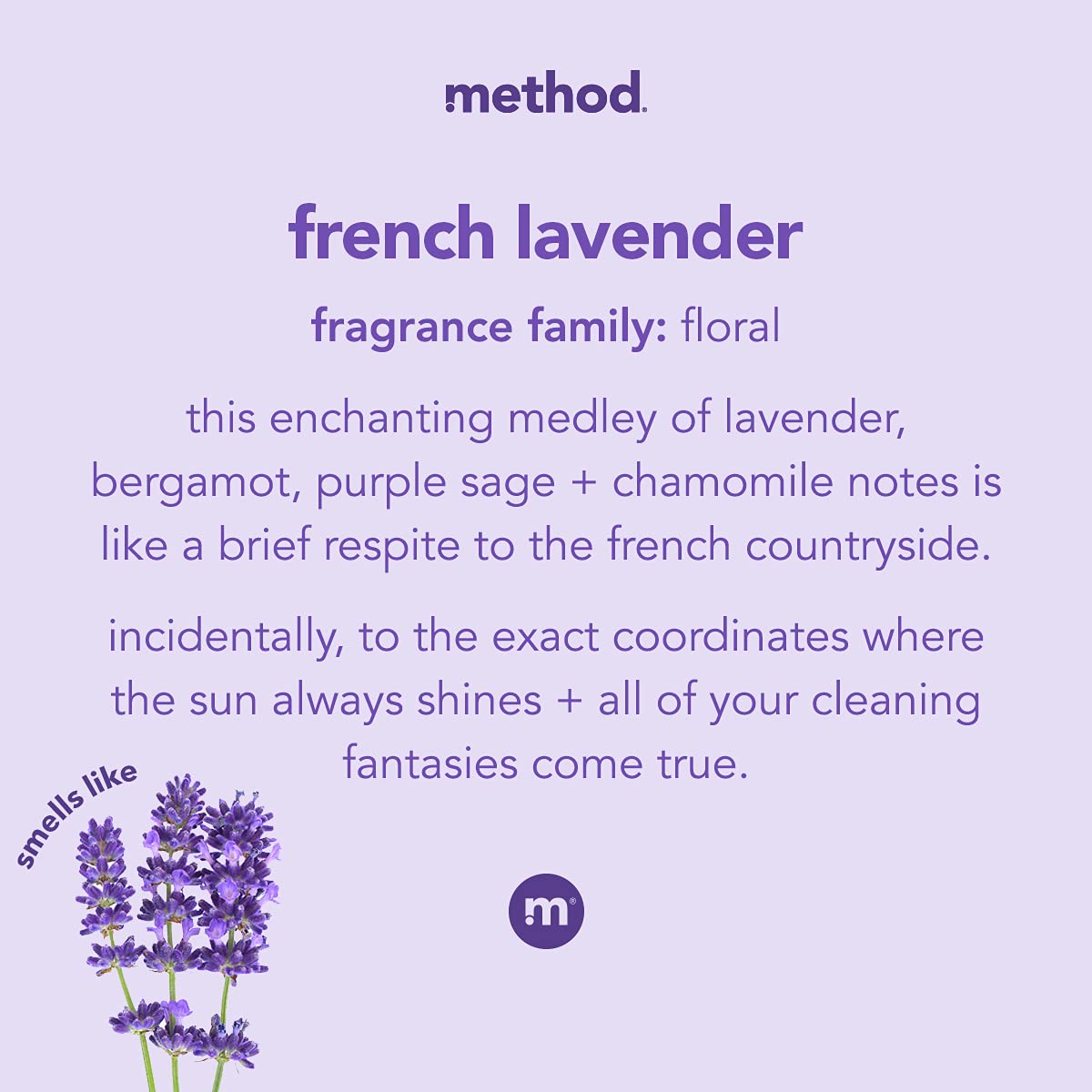 Method 00031 12 Oz French Lavender Hand Wash