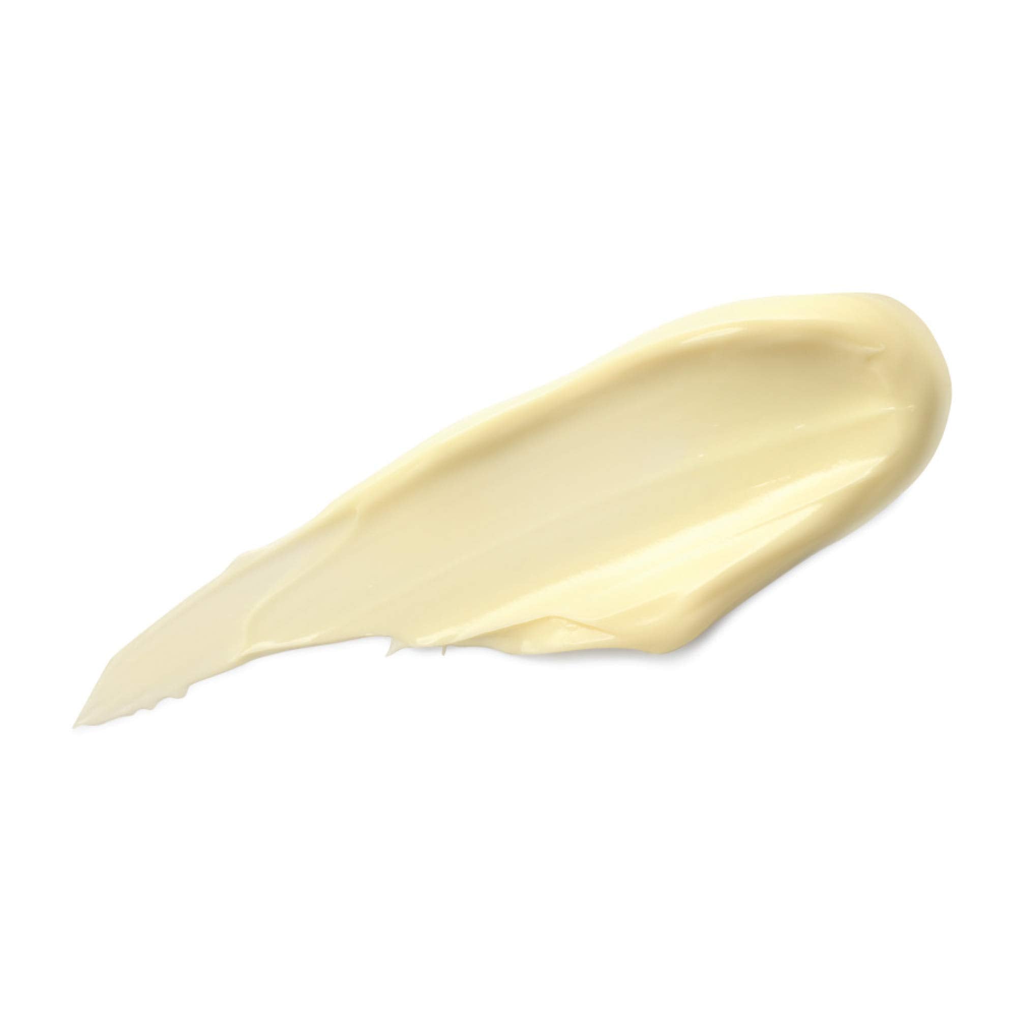 DHC CoQ10 Neck Cream, Firming and Toning Moisturizer for Neck and Decolletage, Antioxidant-rich, Youthful-looking Skin, Fragranc