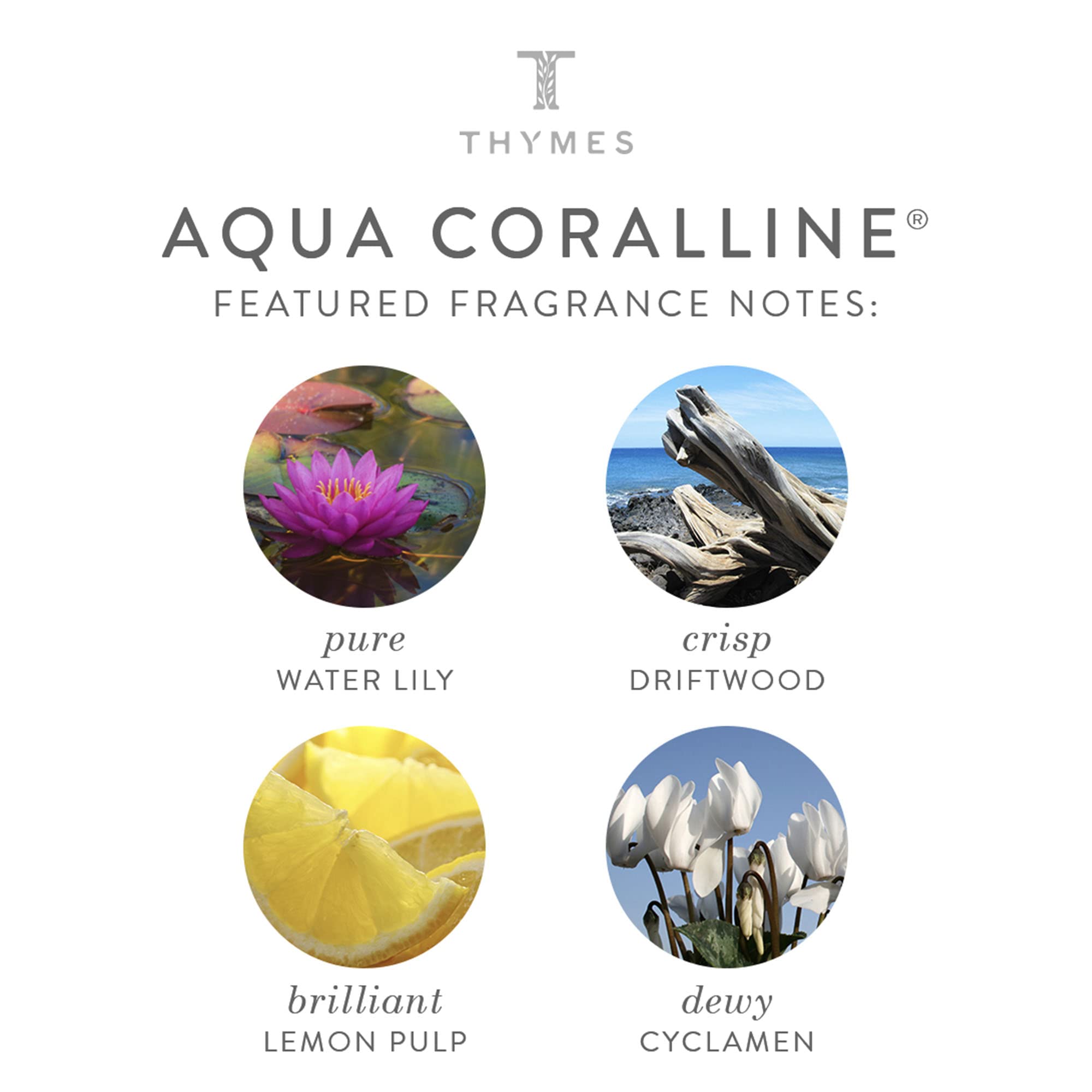 Thymes - Aqua Coralline Body Wash - Refreshing Luxury Shower Gel For Men & Women - 9.25 Fl Oz