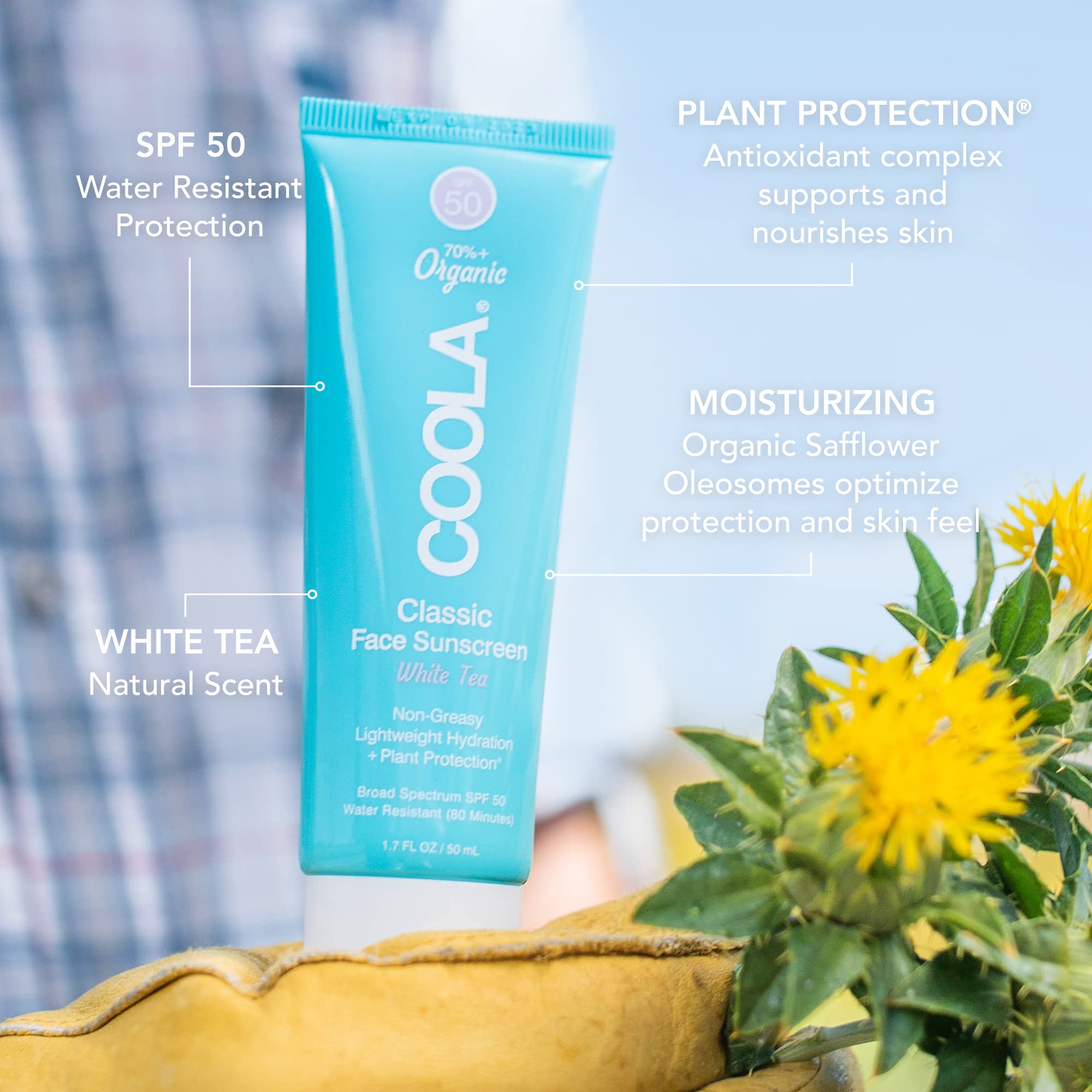 Coola Organic Face Sunscreen Spf 50 Sunblock Lotion, Dermatologist Tested Skin Care For Daily Protection, Vegan And Gluten Free,