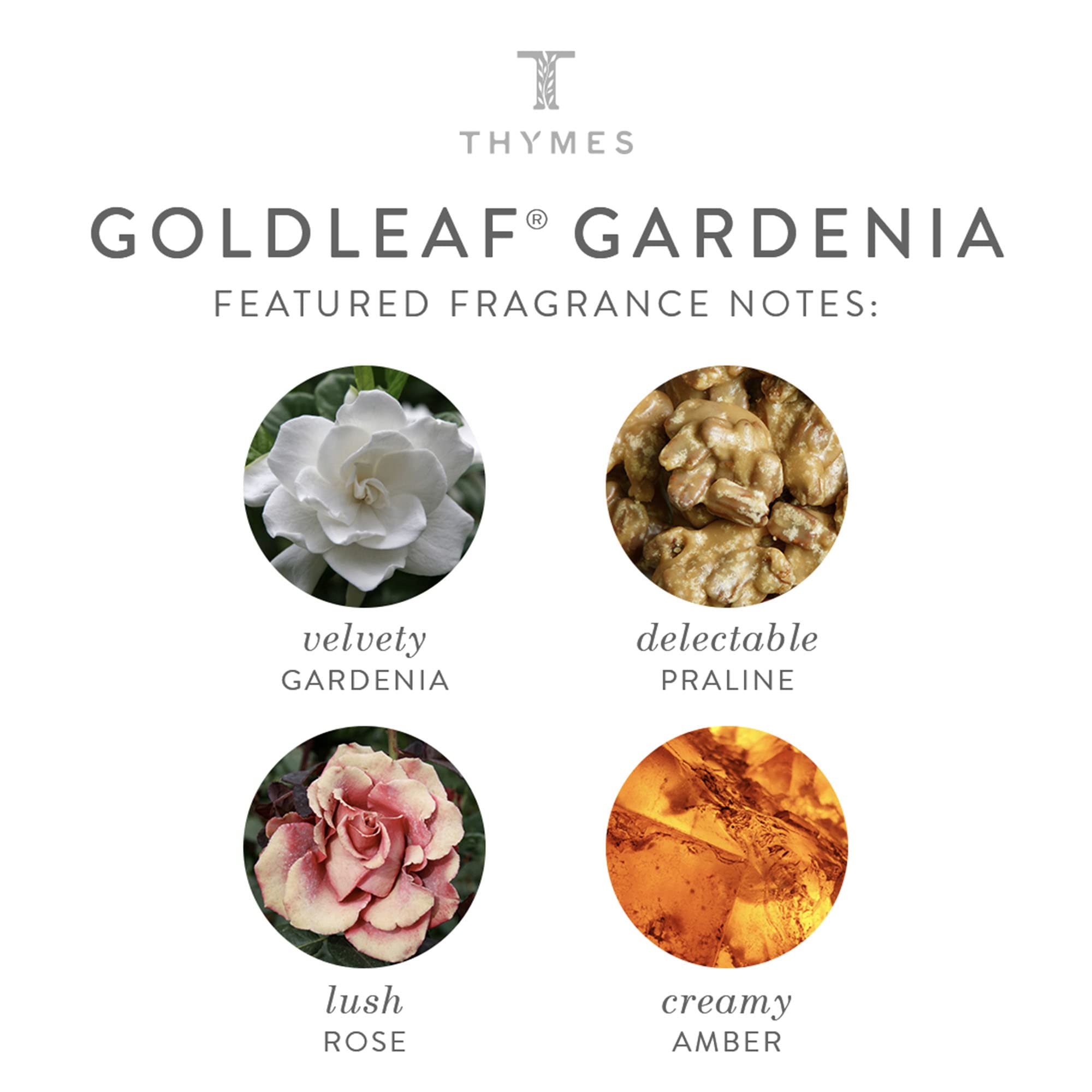 Thymes - Goldleaf Gardenia Perfumed Body Wash With Pump - Luxury Floral Shower Gel For Women - 9.25 Fl Oz