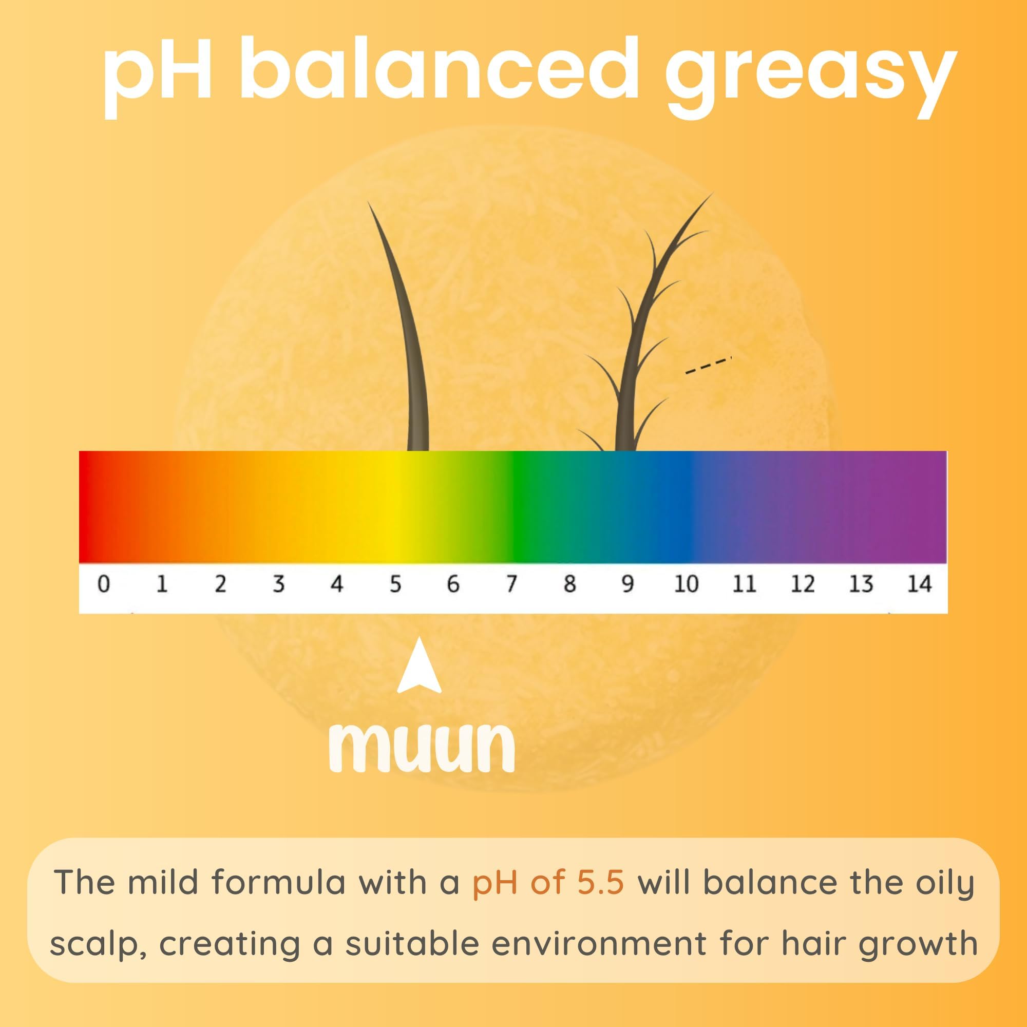 Muun Ginger Shampoo and Conditioner Bar Pack 3 - Hair Growth & Regrowth, Anti Hair Loss, Strengthen & Volumize, pH Balanced - Su