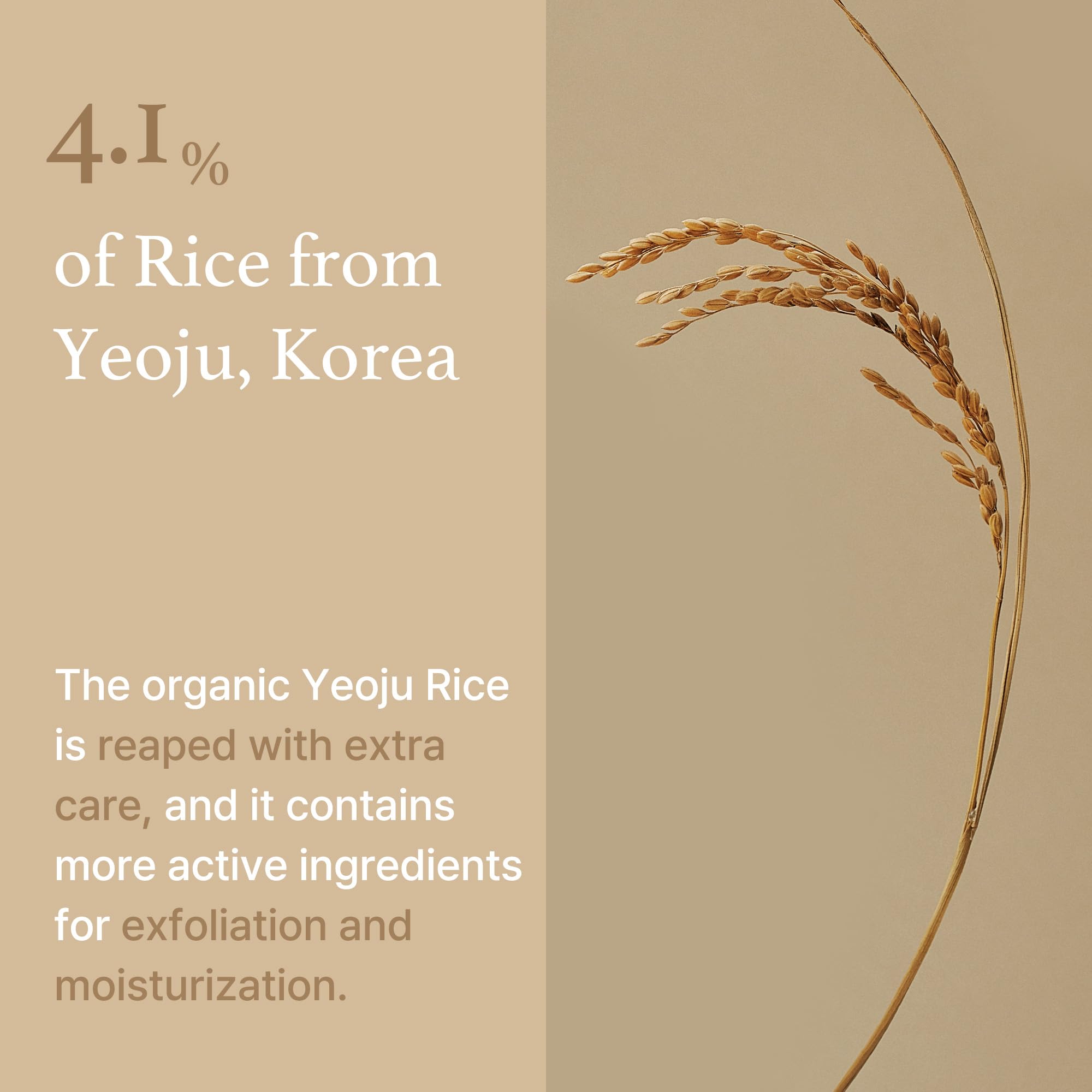 I'm from Rice Mask 3.88 Oz, Gentle Exfoliating Wash Off Facial Mask for Dull, Rough Skin, Pore Clearing, Remove Dead Skin Cells,