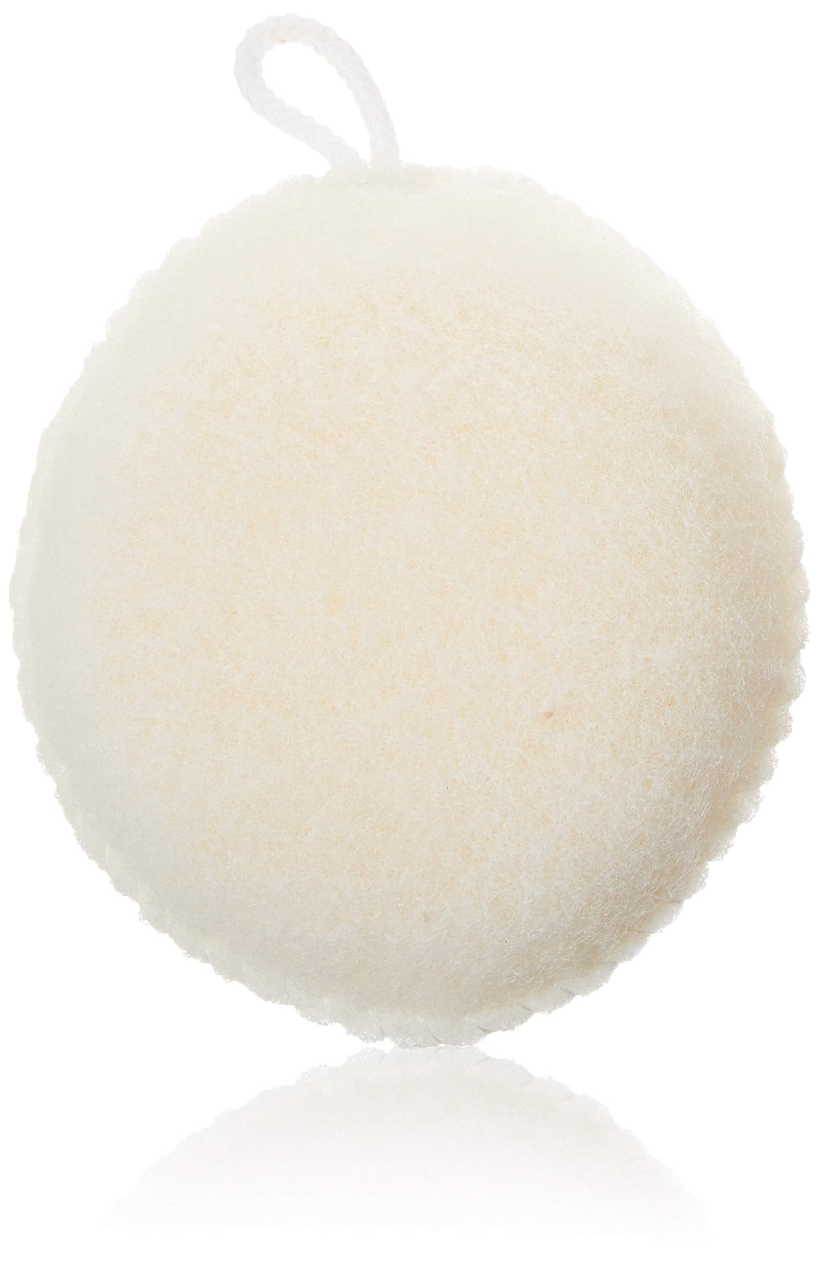 Earth Therapeutics Body Sponge Exfol Oval2