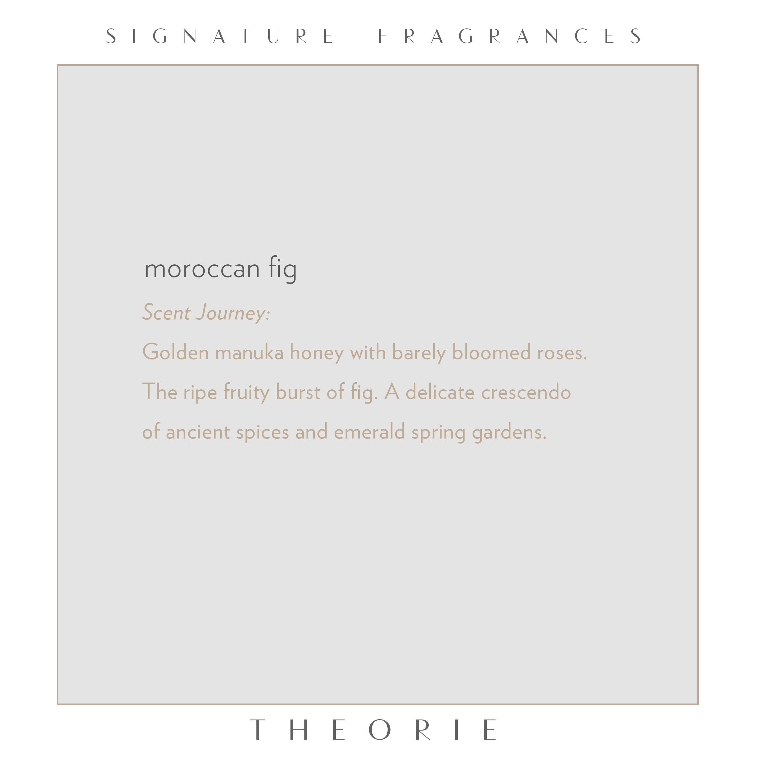 Theorie Moroccan Fig Hand And Body Wash - Antimicrobial, Antibacterial, Nourishing, Soap With Notes Of Fig Leaf, Manuka Honey, M