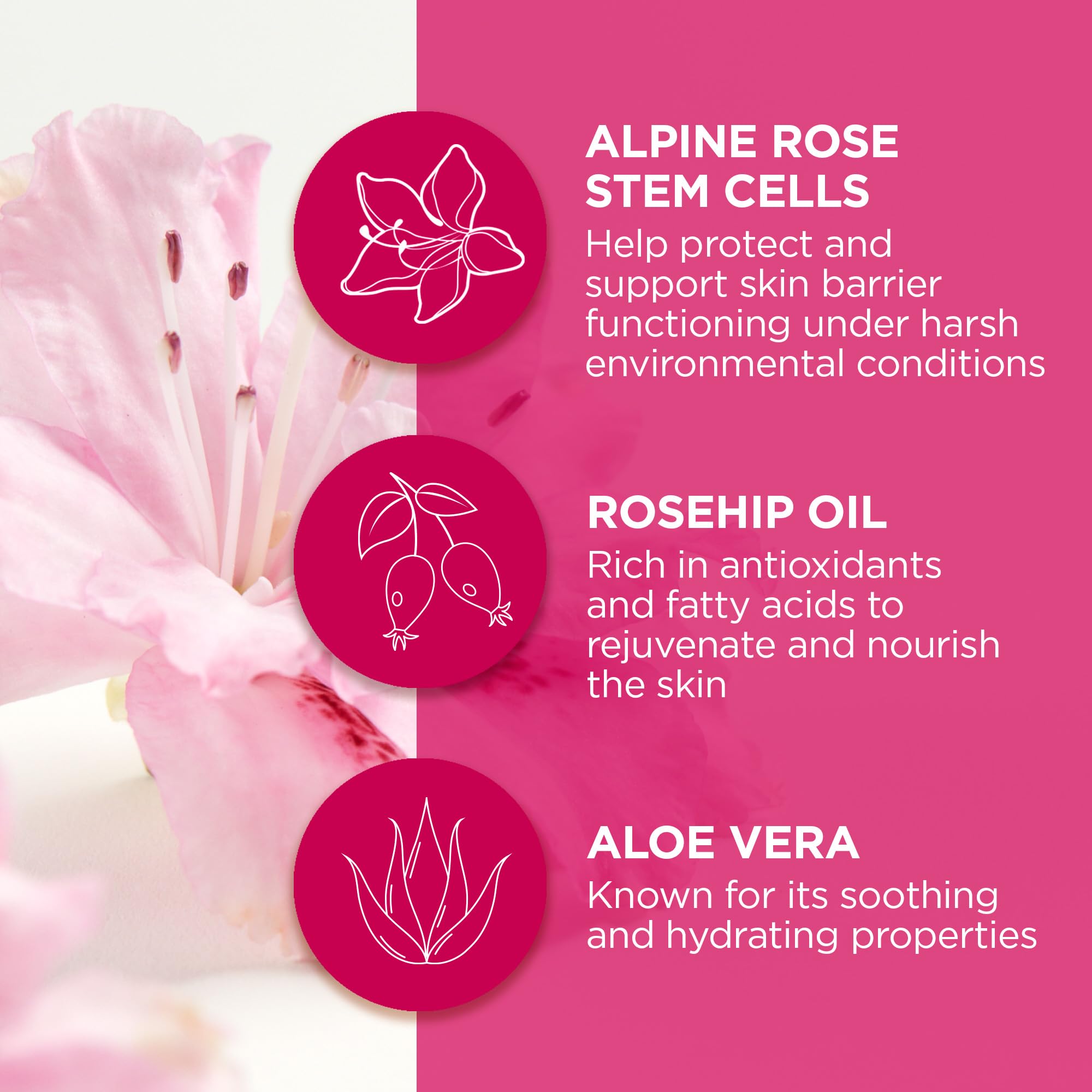 Andalou Naturals, 1000 Roses, Instant Soothe & Smooth Sheet Mask, Single Face Mask, 0.6 Oz, (Pack Of 6)