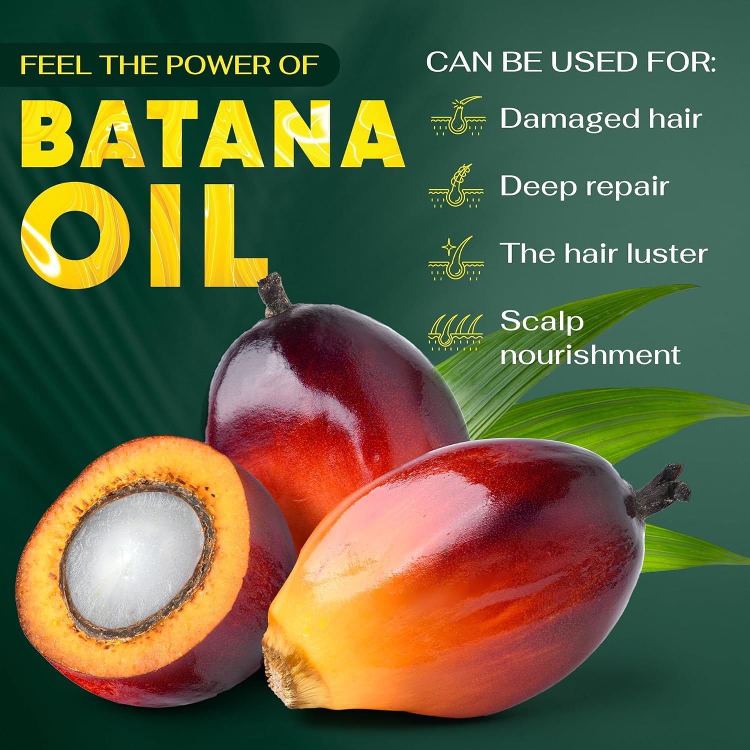 BRIGHTJUNGLE Raw Batana Oil for Hair Growth - 100% Pure, Organic, 5.3oz - Nourishing Hair & Scalp Oil for Men & Women