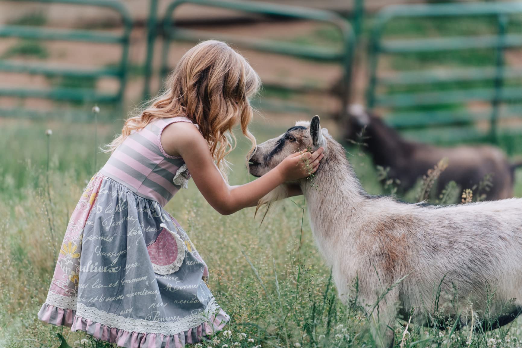 Caprina Canus Fresh Goat'S Milk Soap Original Formula, 3.2 Ounce Each, Pack Of 6