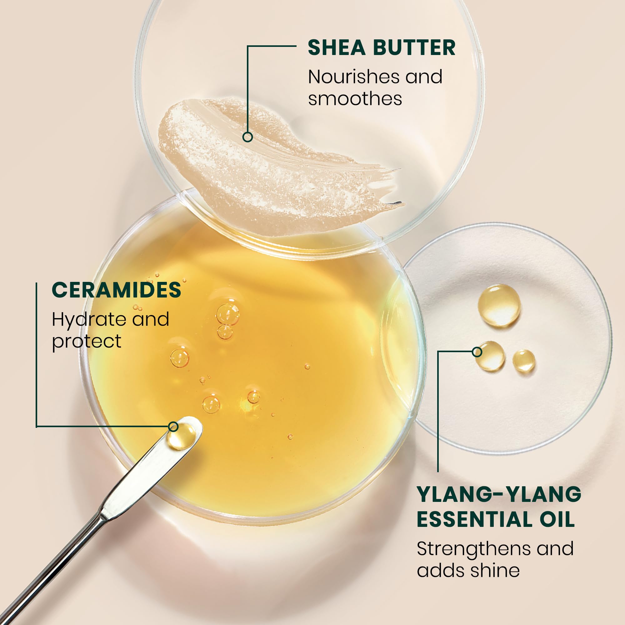Ren   Furterer Sublime Karit  Taming Nourishing Mask - Shea Butter, Ylang-Ylang Essential Oil & Ceramides 1.3 Fl Oz.