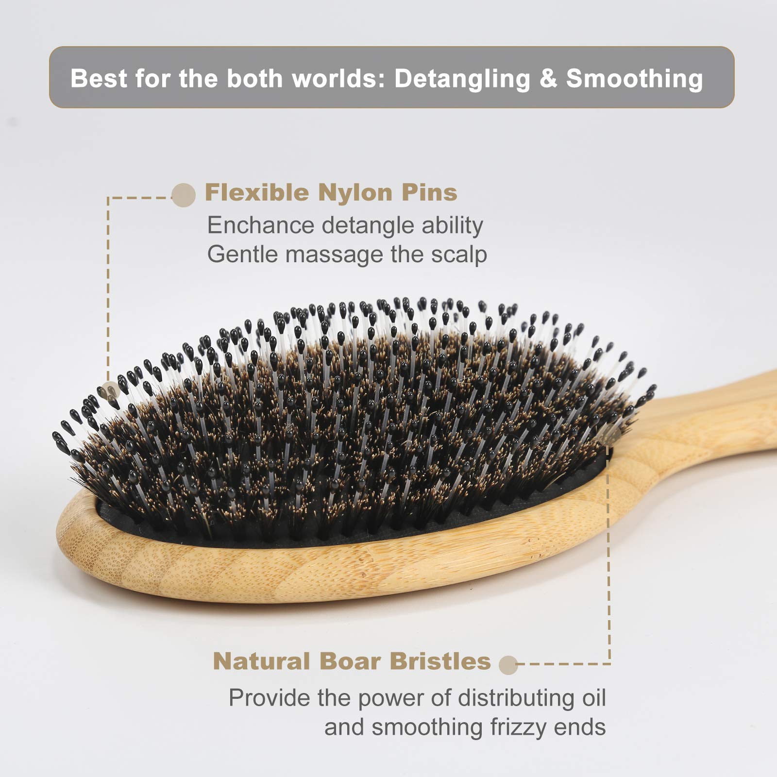 BESTOOL Hair Brush (Regular & Small), Boar Bristle Hair Brushes for Women Men Kids Thick Fine Curly Hair, Hairbrush for Detangli