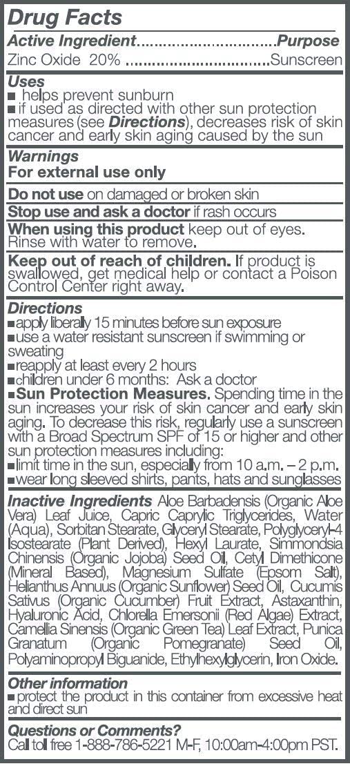 Suntegrity Tinted 5 in 1 Mineral Sunscreen for Face (SPF 30-2 oz) - Golden Light | BB Cream Moisturizer with Physical UVA/UVB Br