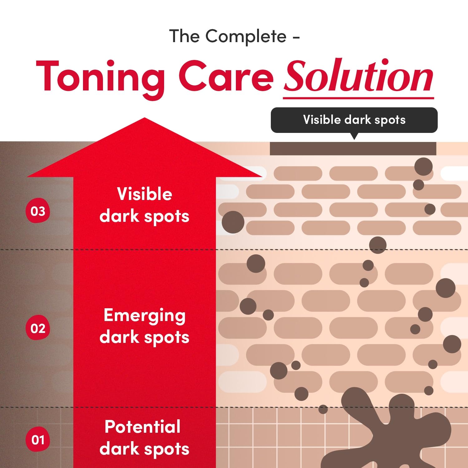 EQQUALBERRY Vitamin C Serum with Niacinamide, 1.01oz - Hydrating Illuminating Serum for Skin Barrier Strengthening