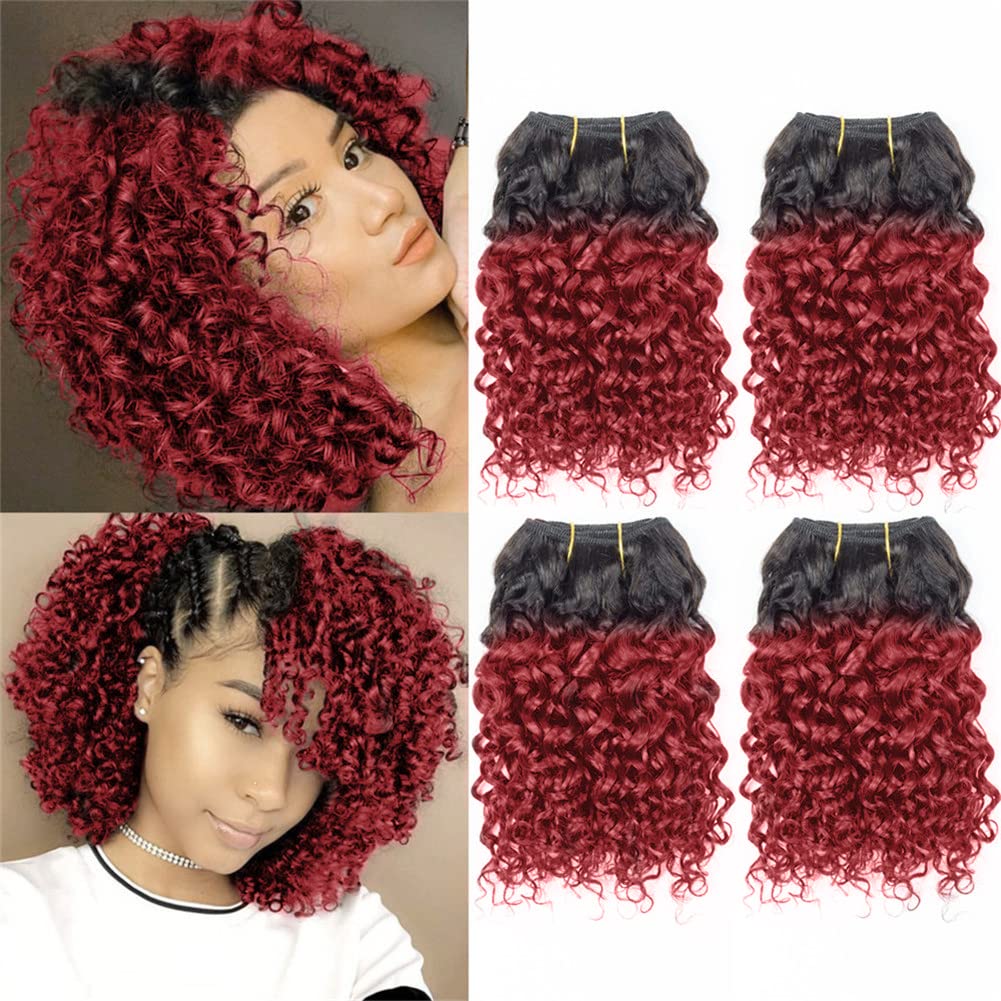 Selina 1B/BUG Brazilian Curly Hair Bundles 4 Bundles Kinky Curly Bundles Short Human Hair Brazilian Virgin Human Hair 50 Gram/Bu