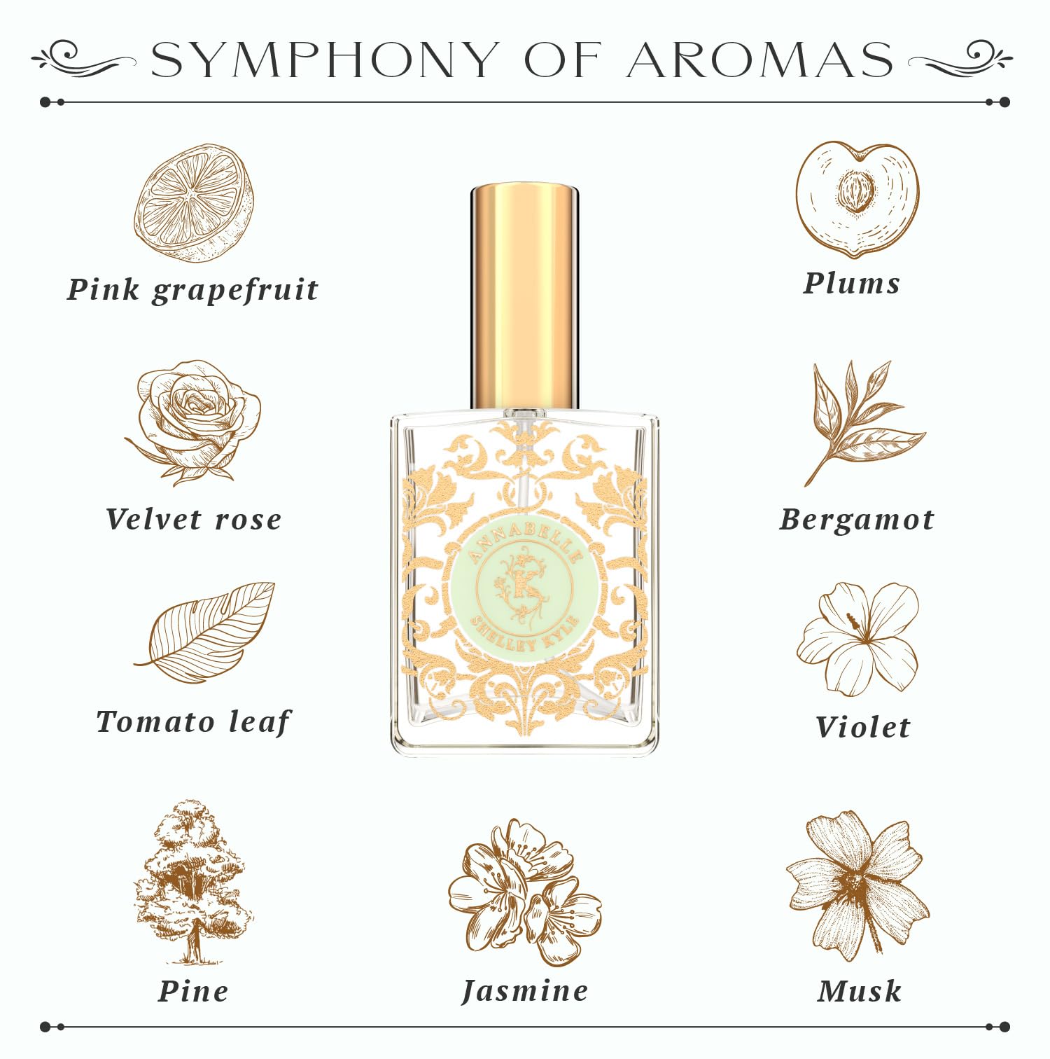 Shelley Kyle Unveiling Exquisite Fragrances with Travel Size Women's Perfume. Discover Enchanting and Tease Scents, Plus Floral