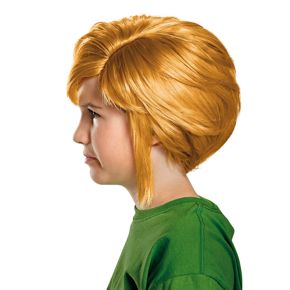 Disguise Link Child Wig Costume