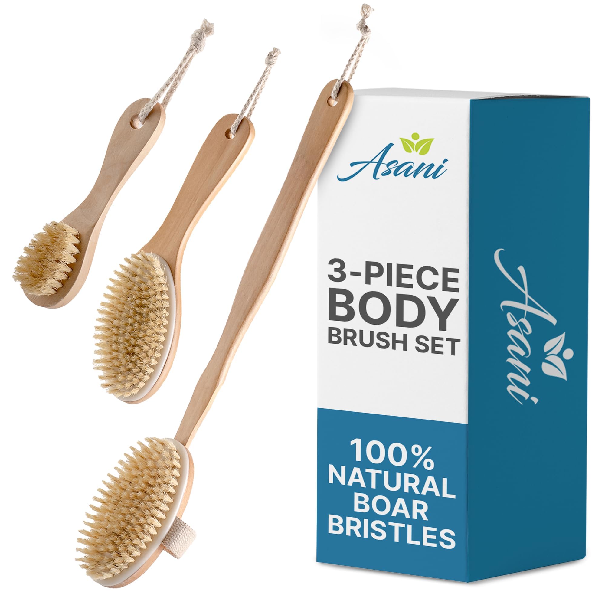 Asani Dry Brushing Body Brush Set For Lymphatic Drainage & Cellulite - 3-Pcs Detachable Back, Contour Body & Face Brushes Organi