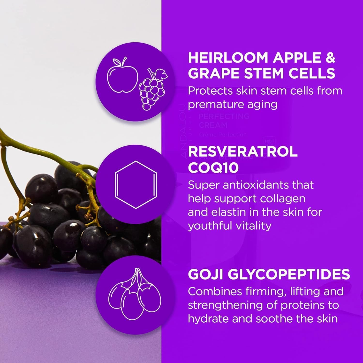 Andalou Naturals Goji Peptide Perfecting Cream, Age-Defying Moisturizer, 1.7 oz, Supports Collagen & Elastin, Fights Fine Lines & Wrinkles