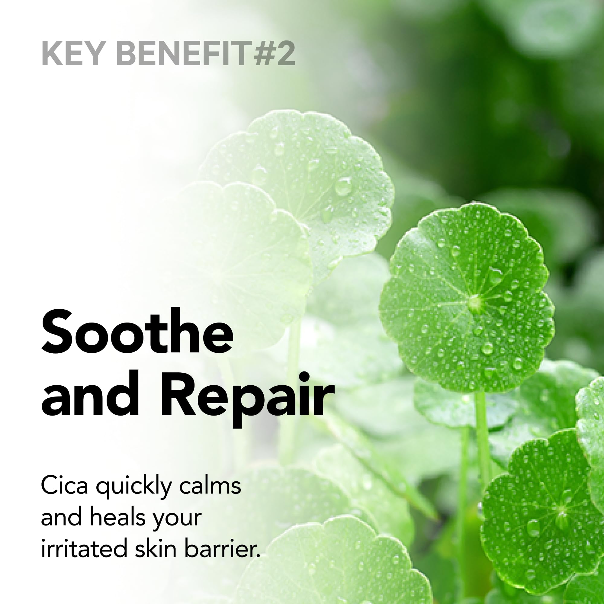 Meebak Anti-Redness Bb Cream Tinted Moisturizer, Redness Relief For Face Cream With Cica Tiger Grass, Korean, Green Concealer Co