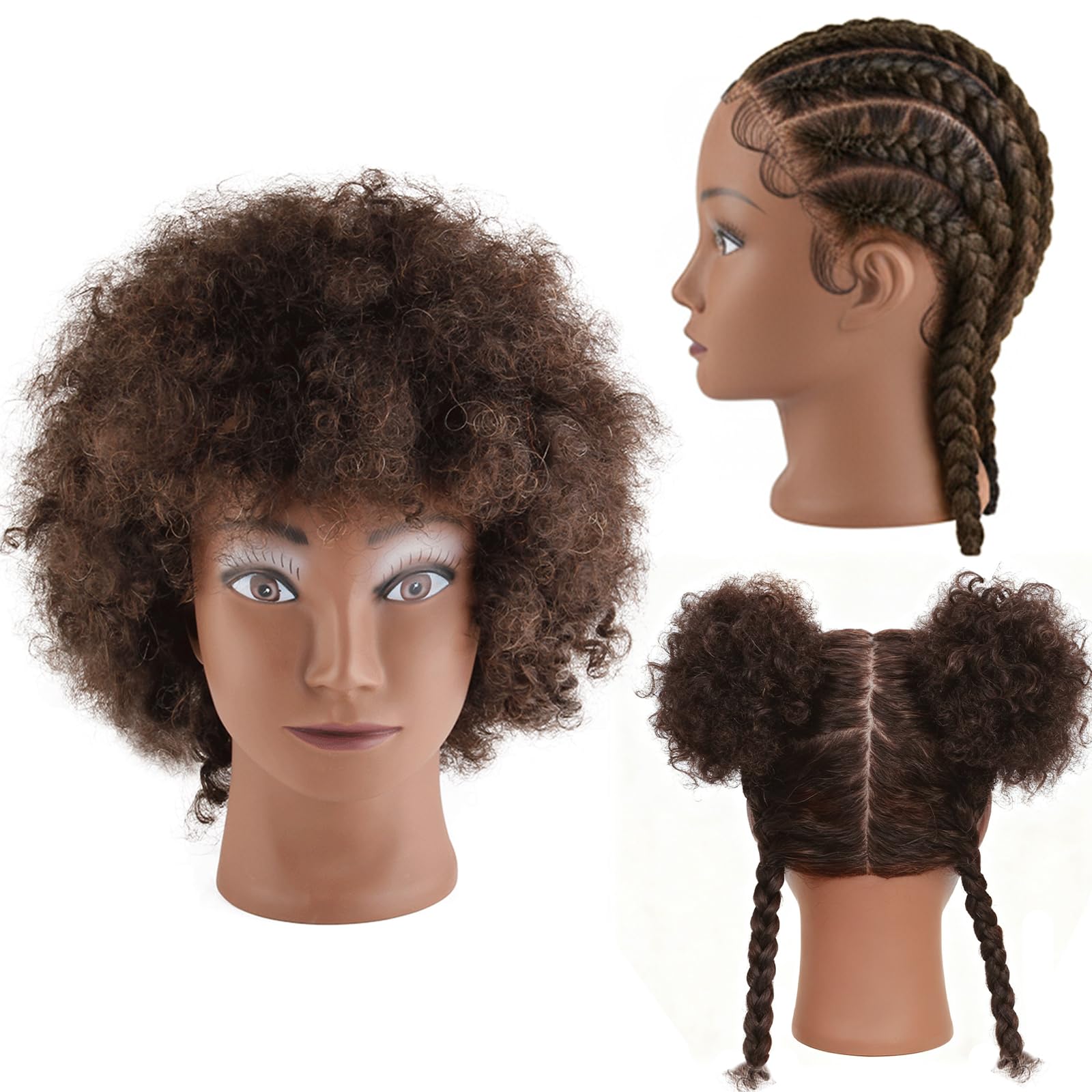 AliLeader Afro mannequin head with 100% Human Hair Mannequin Head Curly Cosmetology for Display Practice Braiding Styling Traini